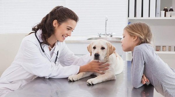 dịch vụ chăm sóc thú cưng